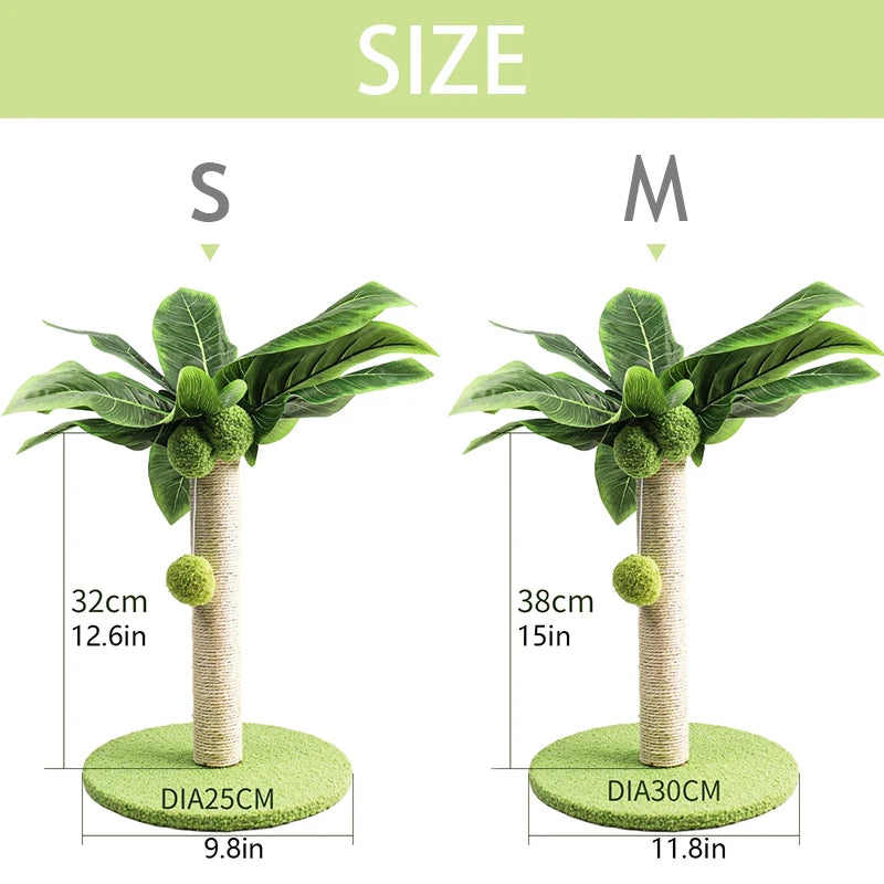 Arbre à Chat Petit Palmier