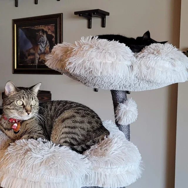 Arbre à Chat Gris Design