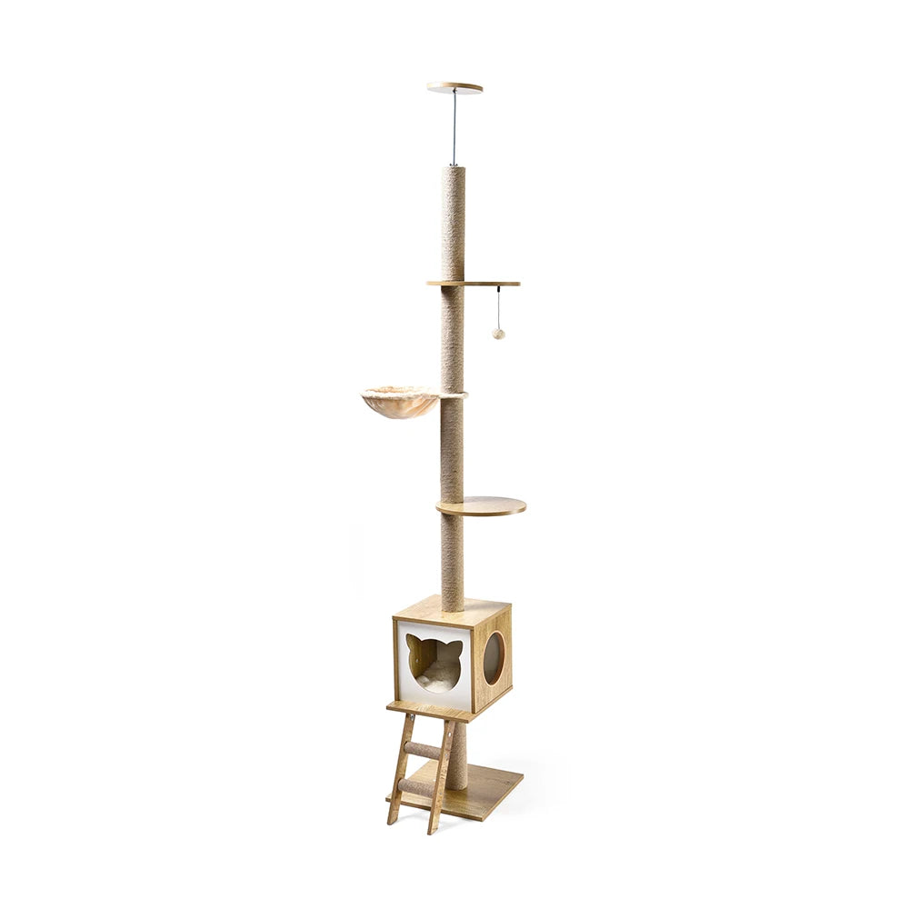 Arbre à Chat en Bois du Sol au Plafond