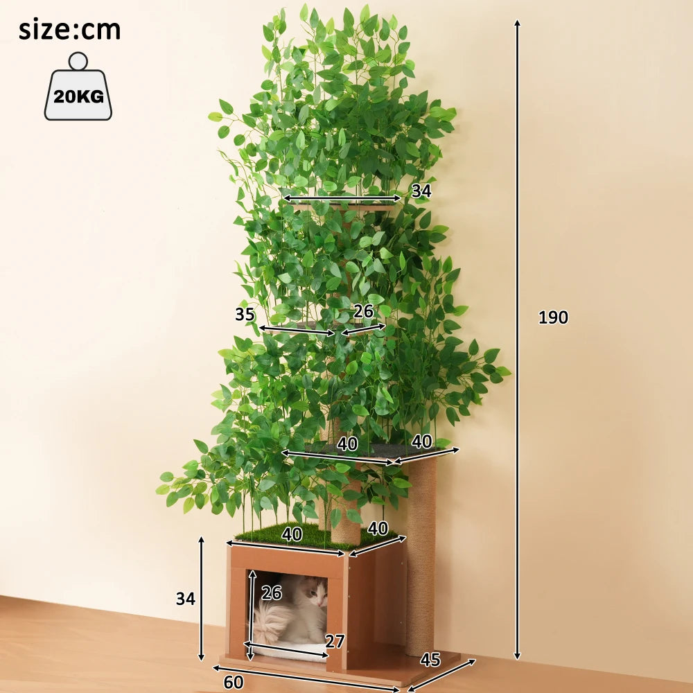 Arbre à Chat Naturel