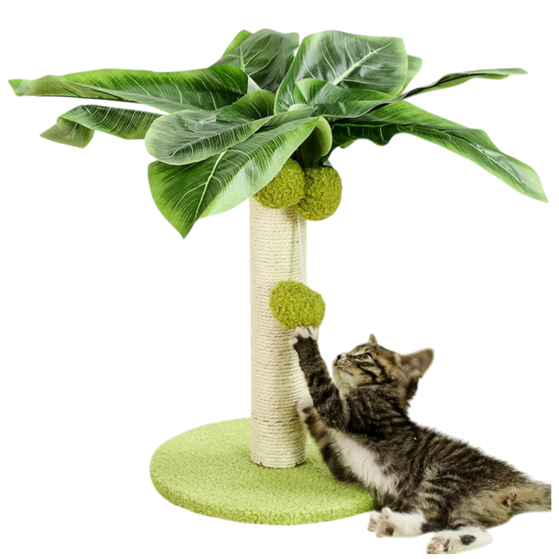 Arbre à Chat Petit Palmier