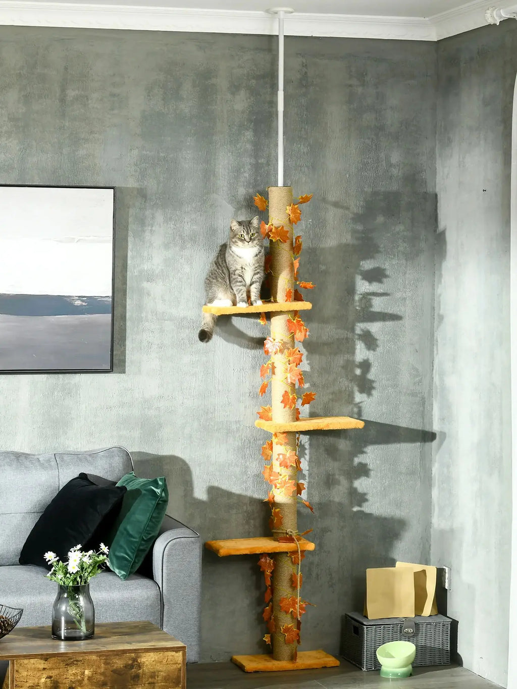 Arbre à Chat Feuillage