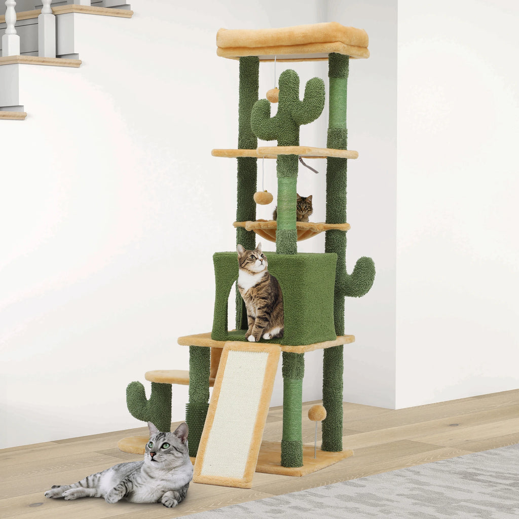 Arbre à Chat Cactus Design