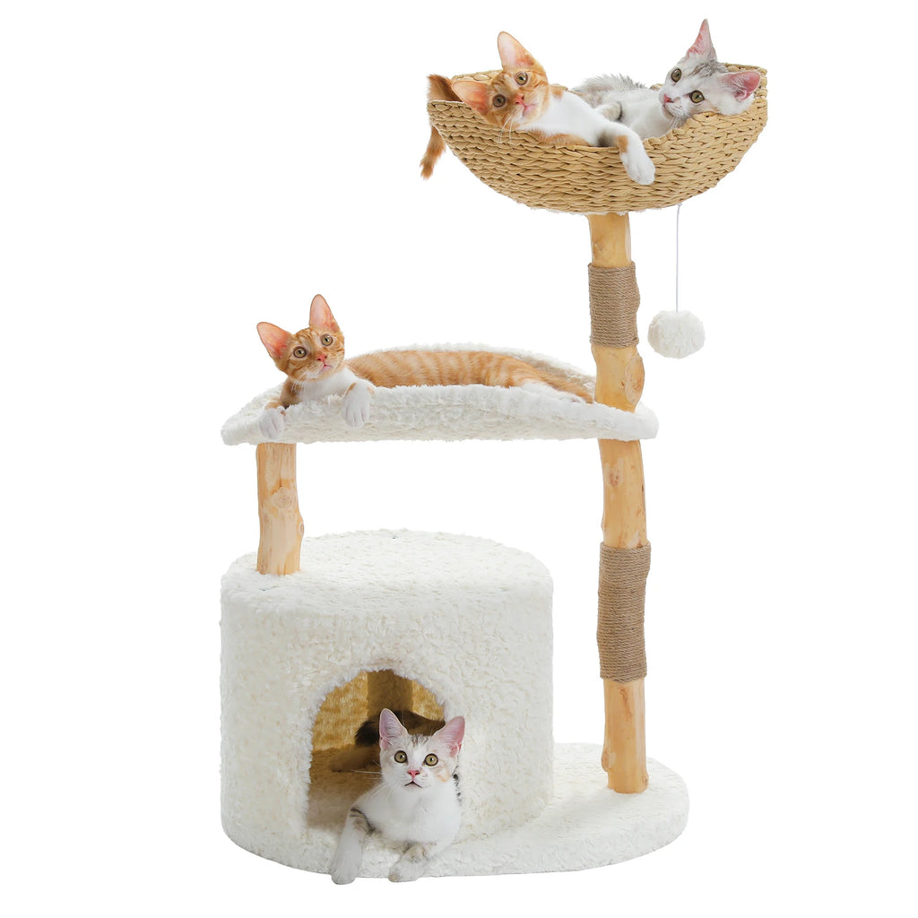 Petit Arbre à Chat en Bois Design