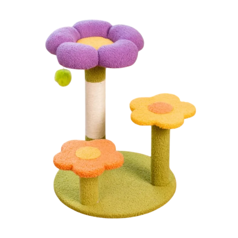 Petit Arbre à Chat Fleur Multi Couleur
