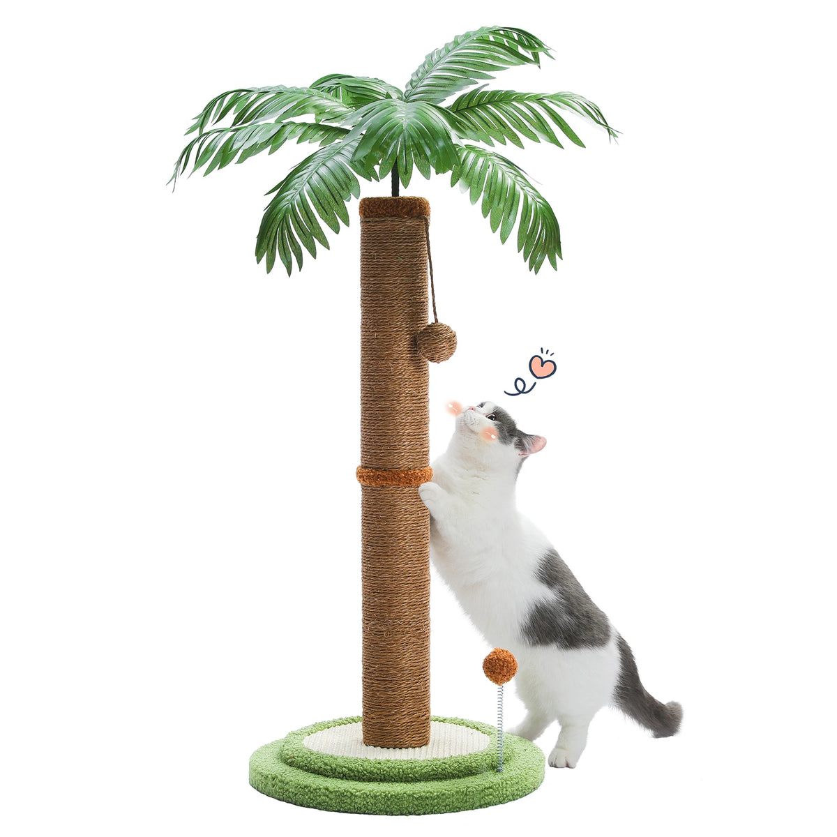 Arbre à Chat Palmier