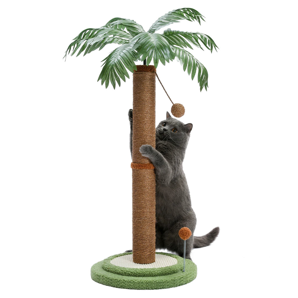 Arbre à Chat Palmier