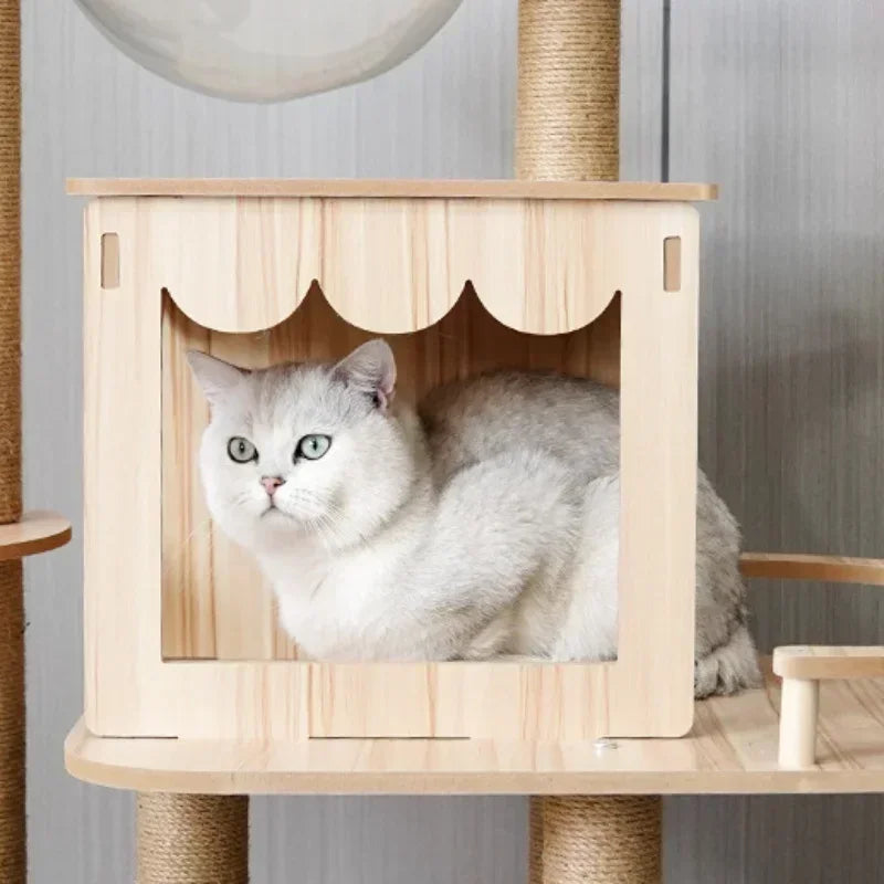 Arbre à Chat en Bois
