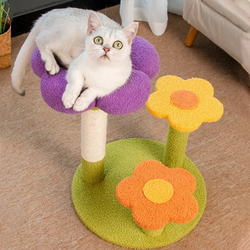 Petit Arbre à Chat Fleur Multi Couleur
