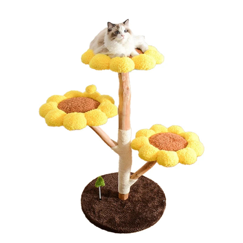 Arbre à Chat Fleur Jaune