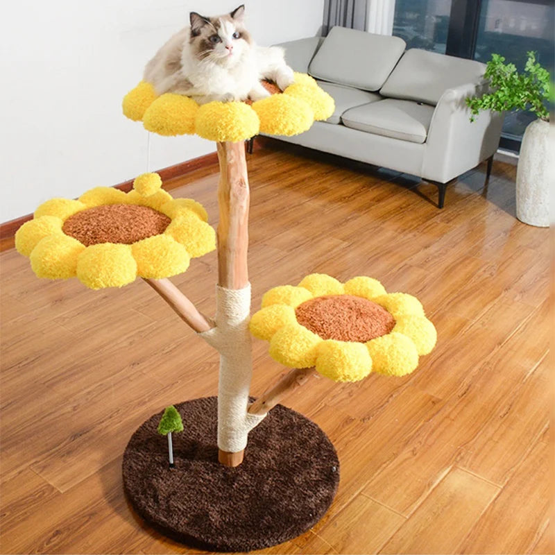 Arbre à Chat Fleur Jaune