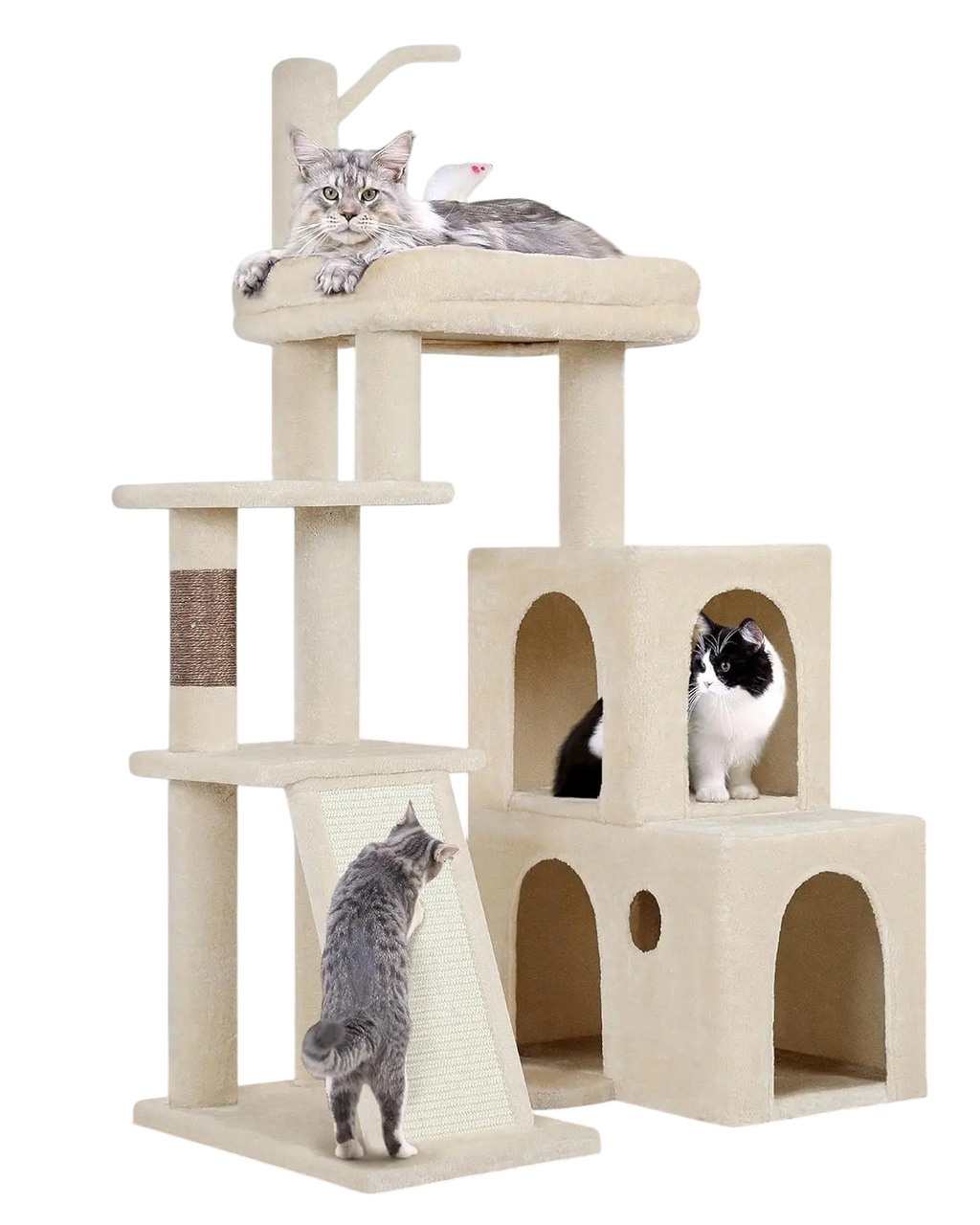 Arbre à Chat avec Double Niche