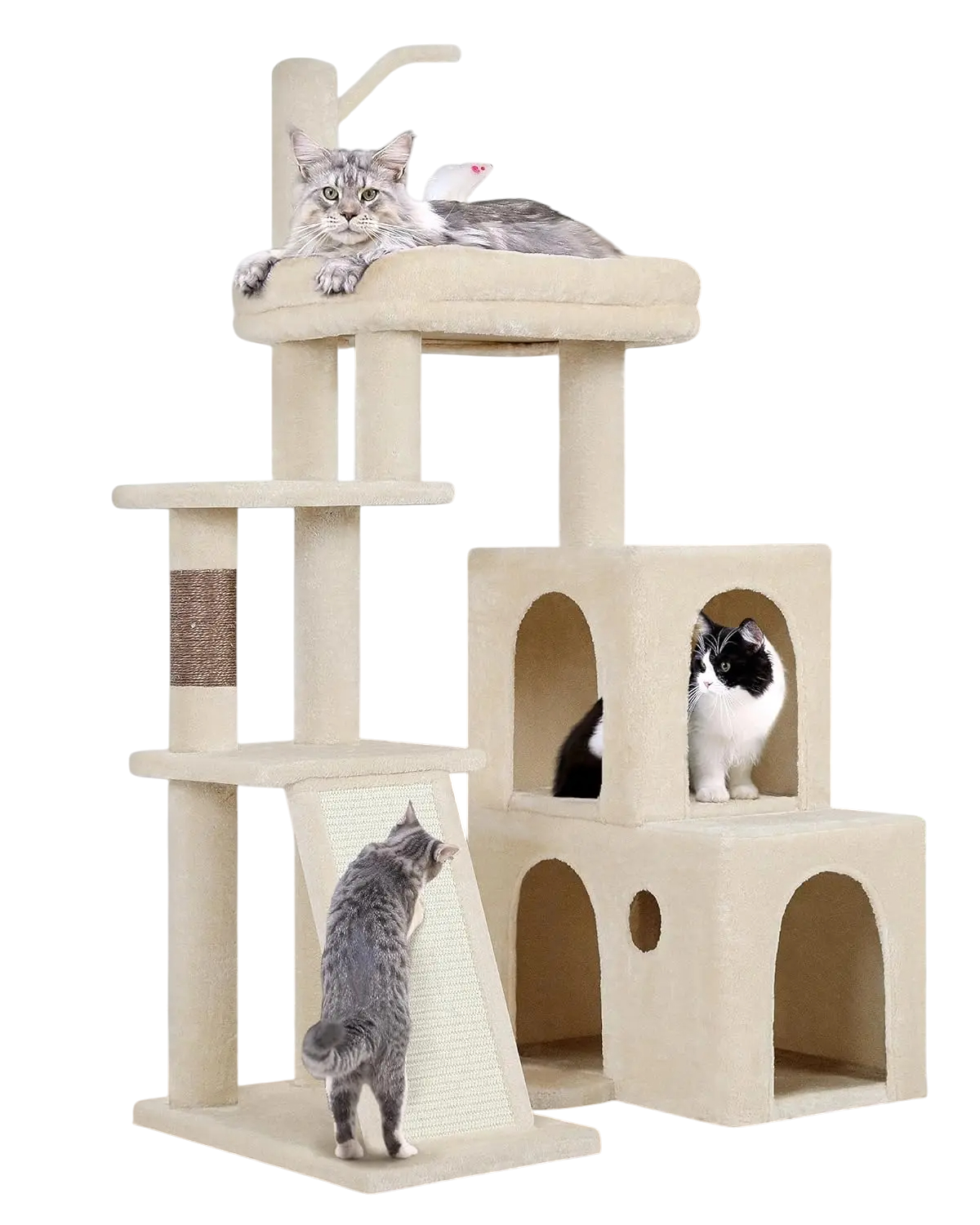 Arbre à Chat avec Double Niche